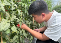 屏幕截图 2025-06-26 222204