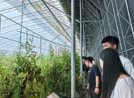 屏幕截图 2025-06-26 222124