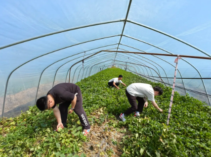 屏幕截图 2025-06-26 221856