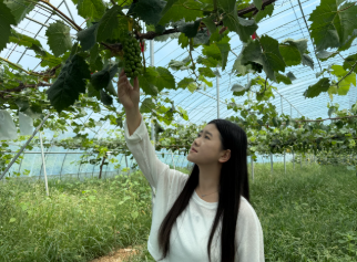 屏幕截图 2025-06-26 222054