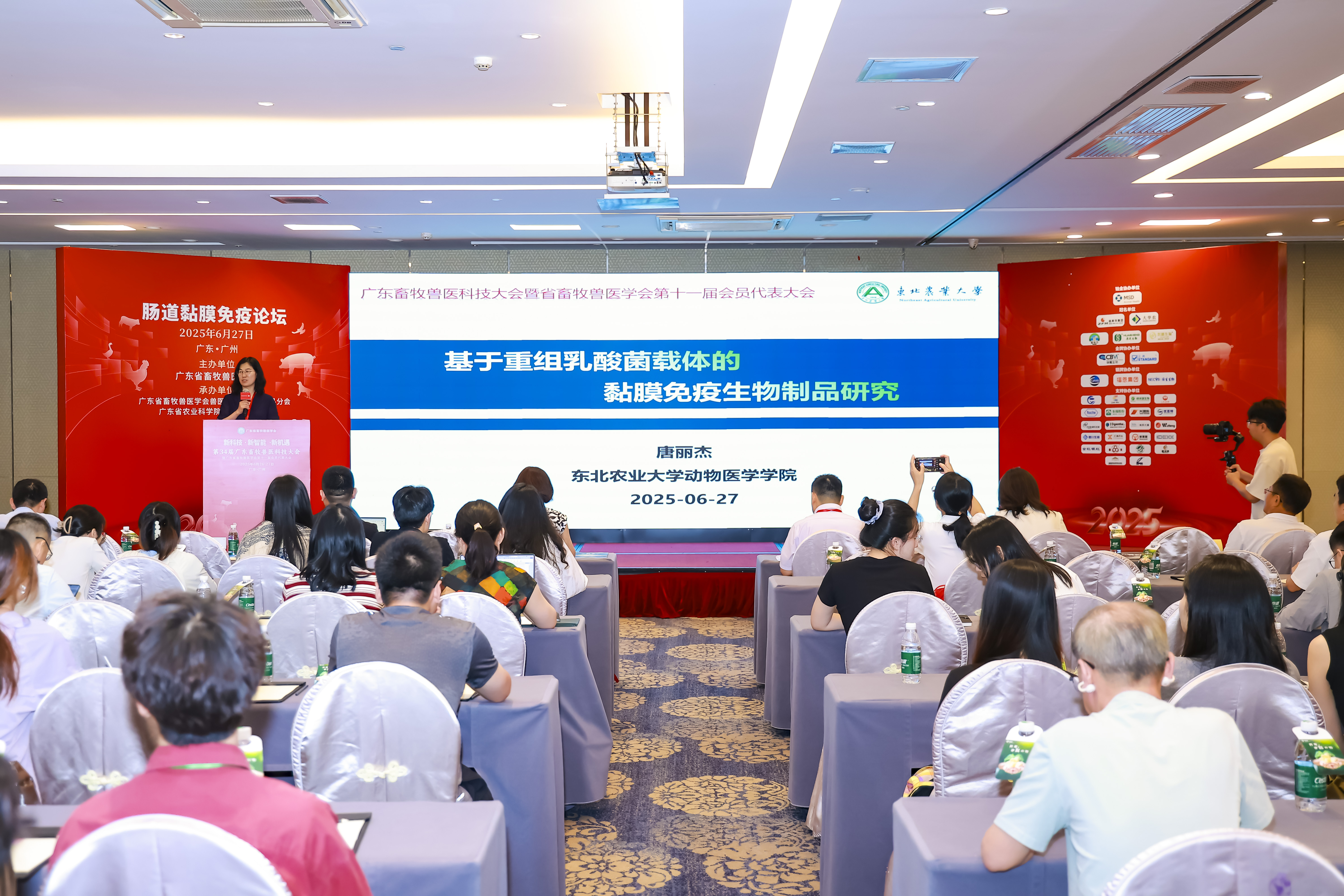 685df96a2260a986566517