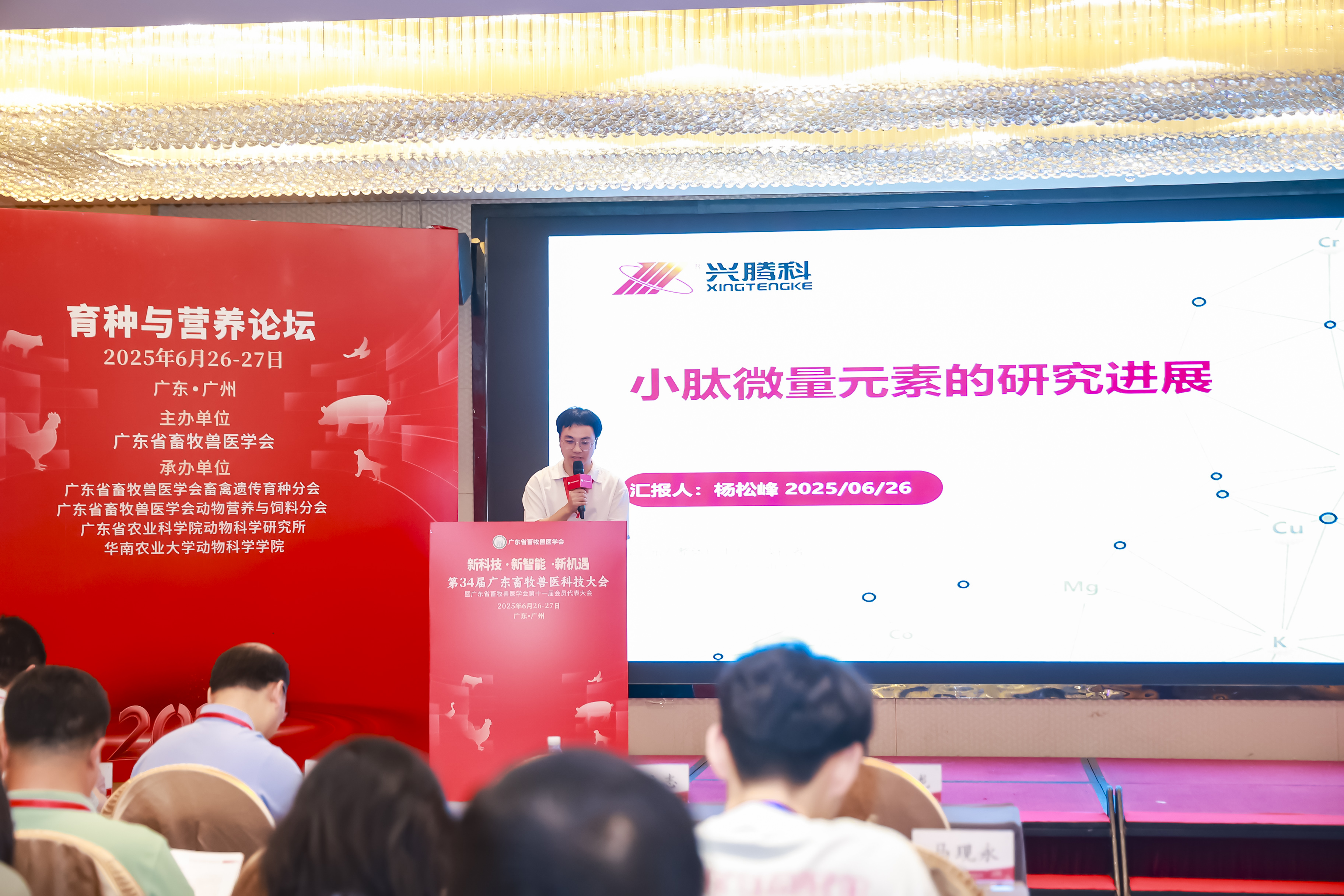 685cc4bc3dcbf668056075