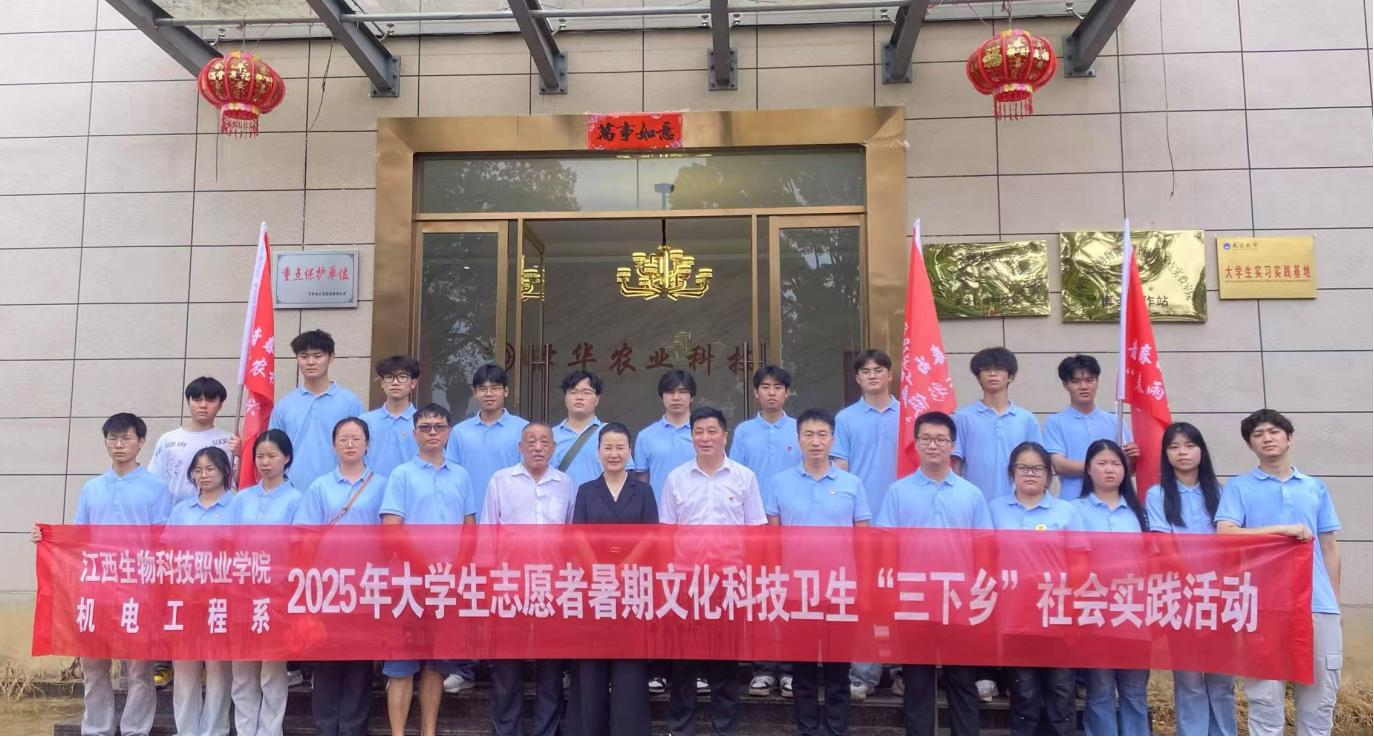 图片11