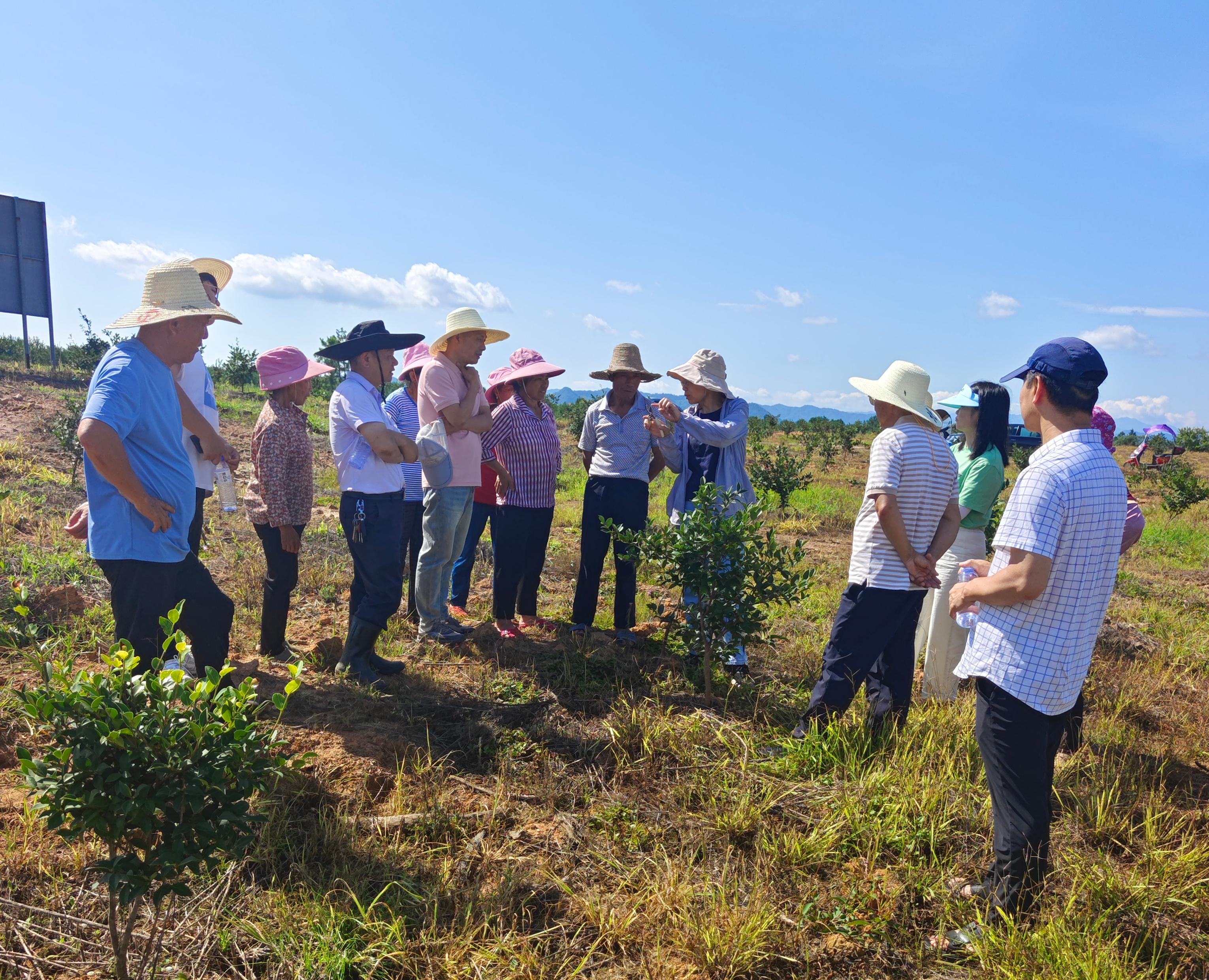 图片_20250629121239