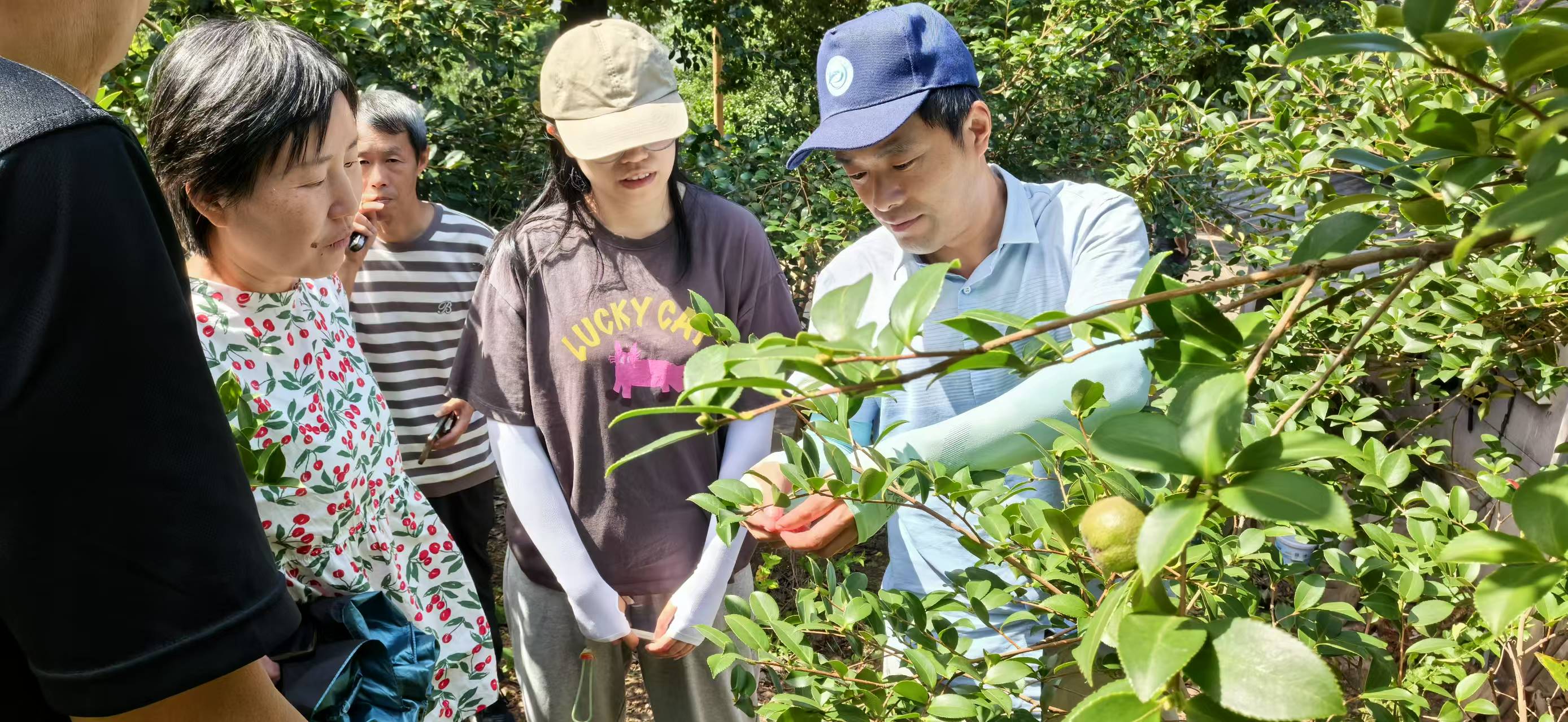 图片_20250629112156