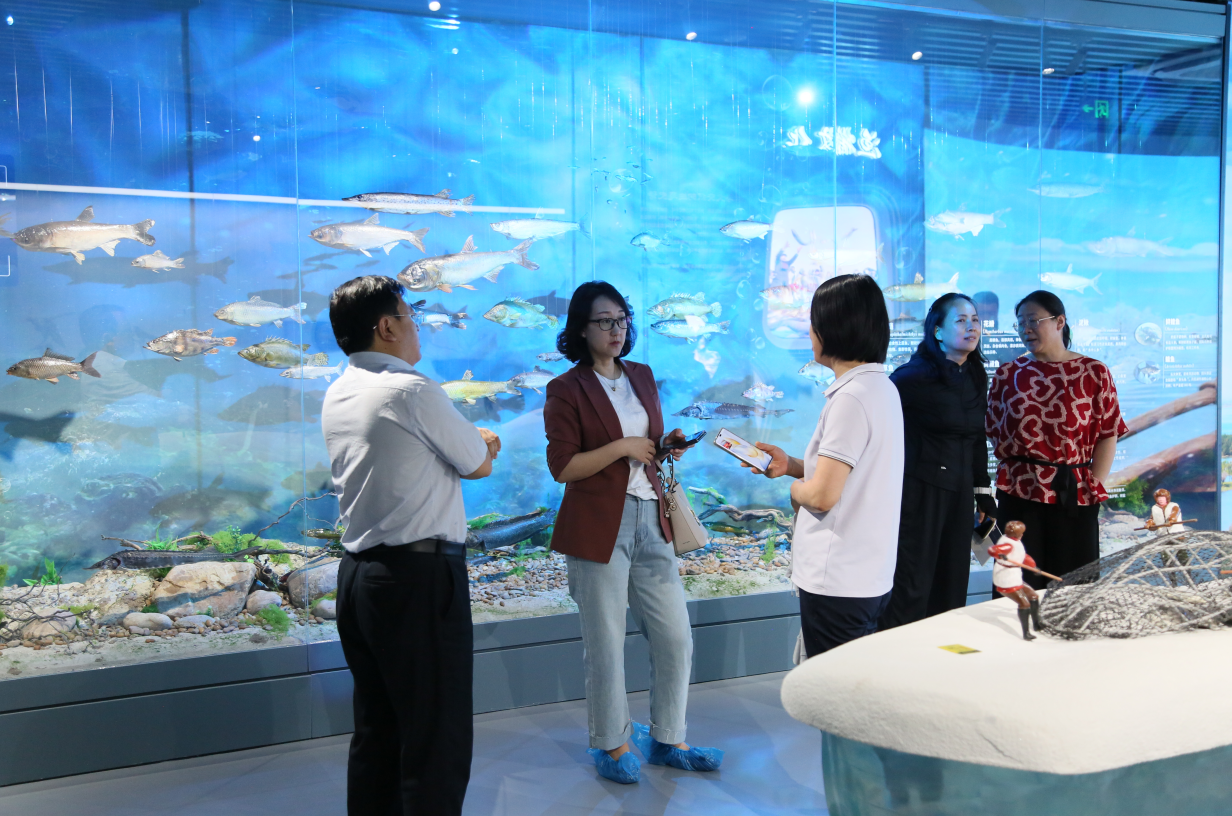 1751338050212 1751338050212