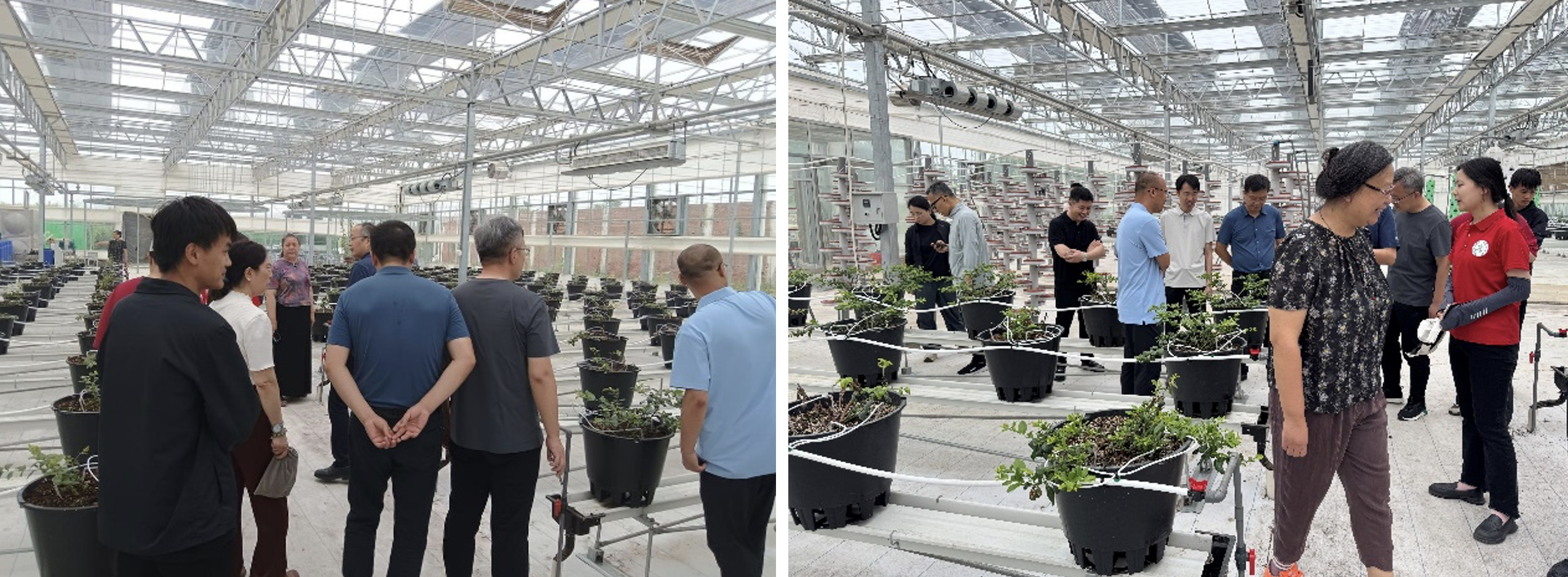 截屏2025-07-04 15.13.16