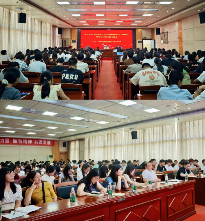 20250613-4 20250613-4