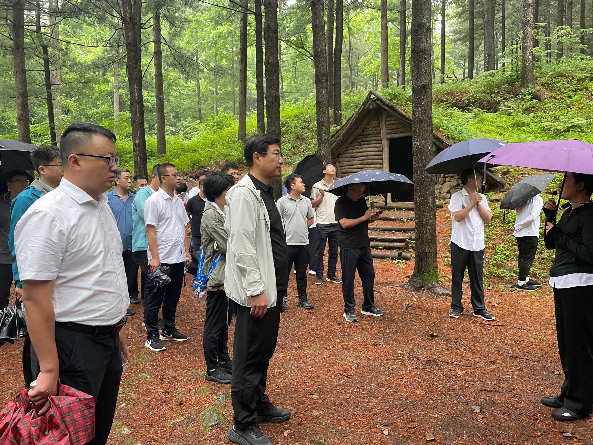 FE9187A5F1DC45F206262C29216_E86D563B_DE3D3 FE9187A5F1DC45F206262C29216_E86D563B_DE3D3