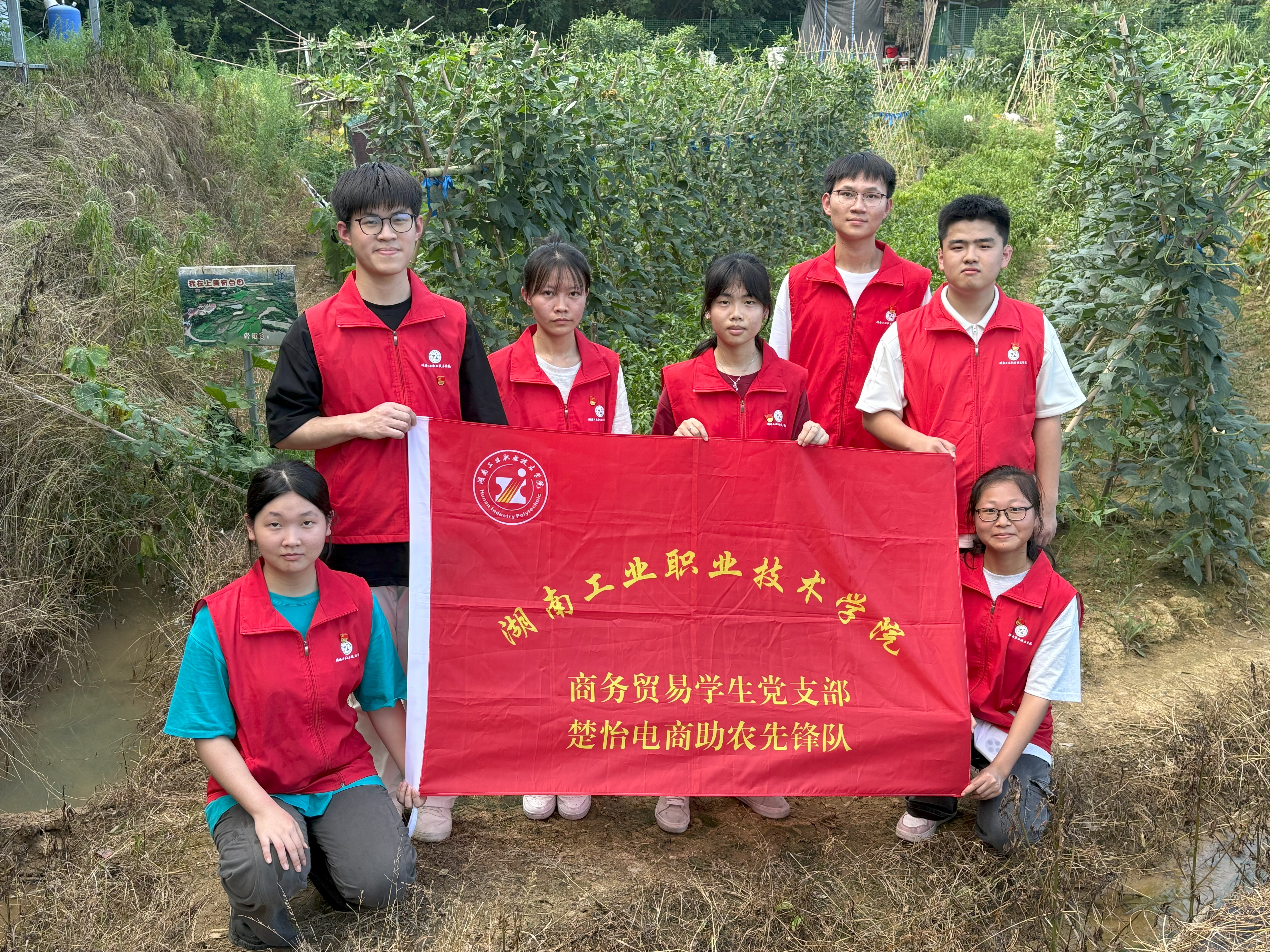 图片5