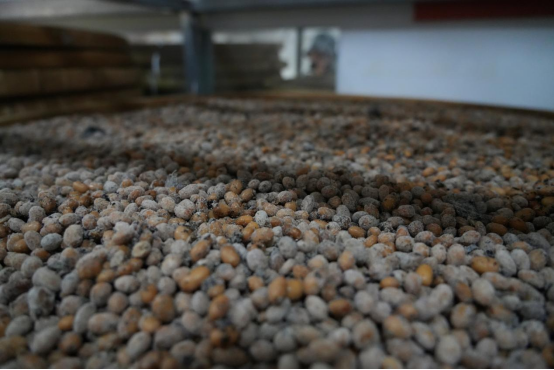 微信图片_20250707211453