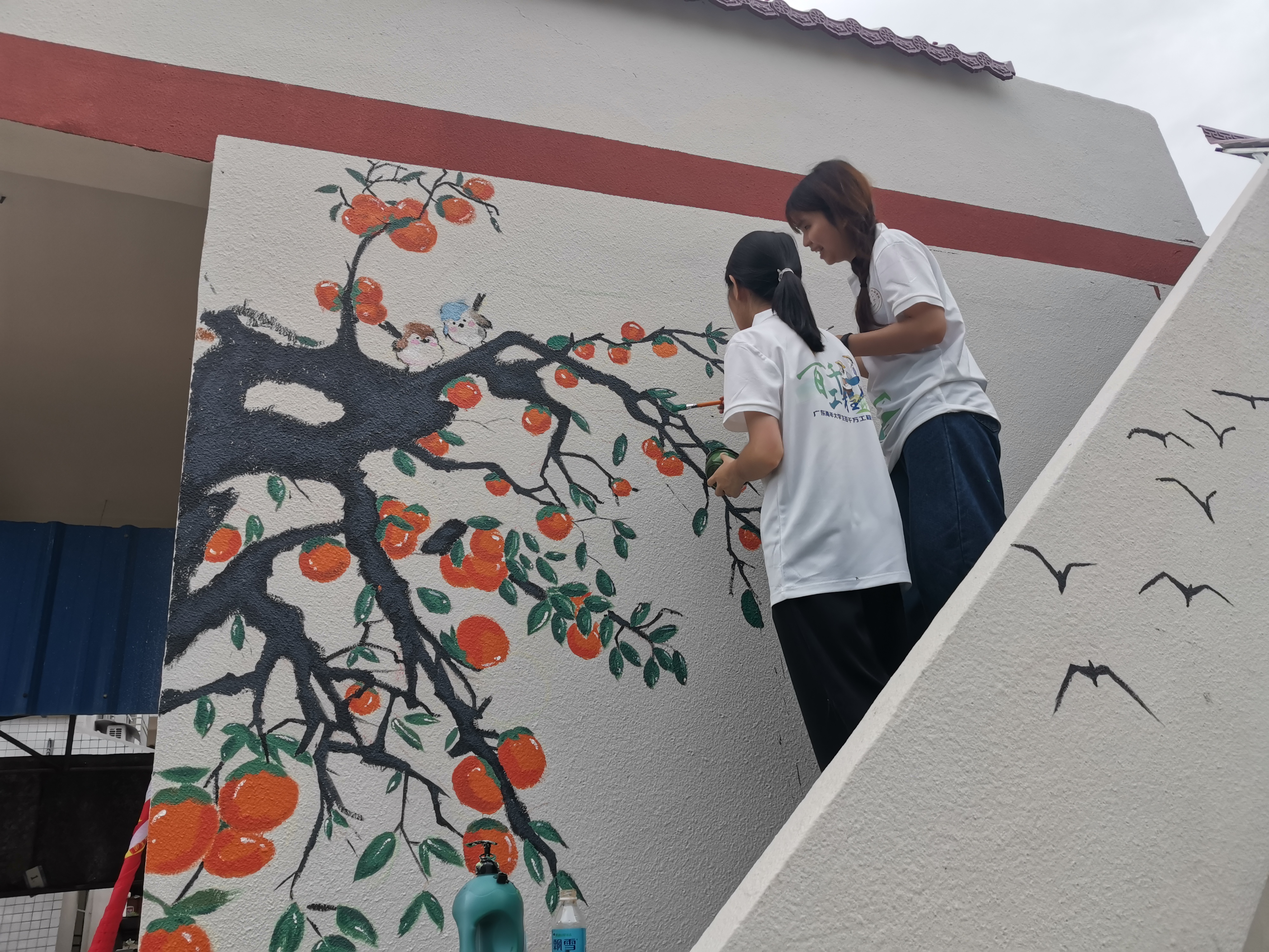 微信图片_20250708164412