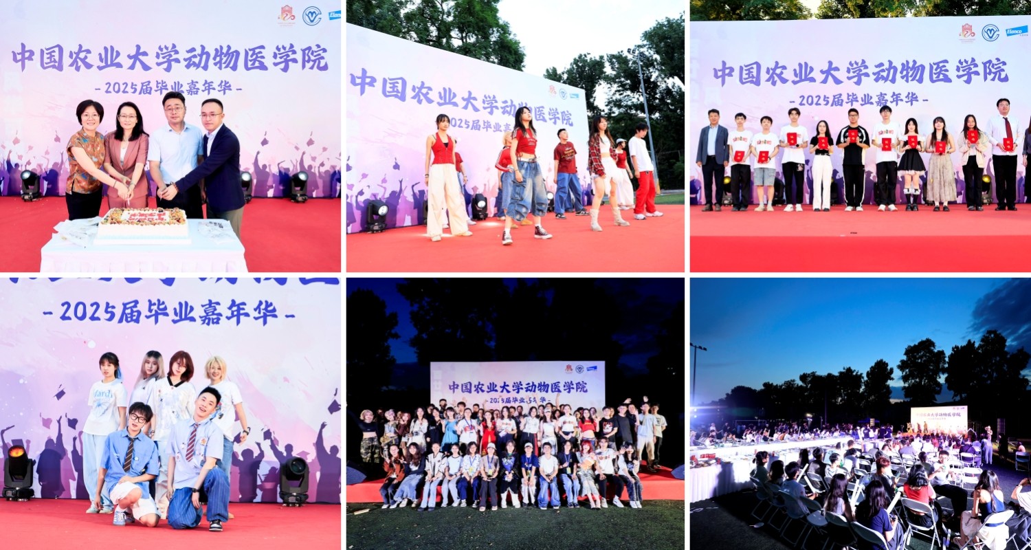 1750238509552064360.jpg 未命名.jpg