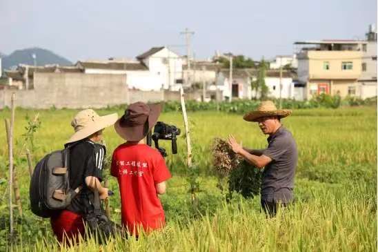 拍摄田间劳作场景 拍摄田间劳作场景