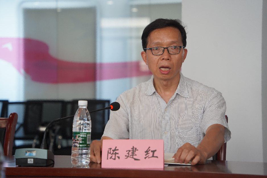 武汉市新洲区委宣传部副部长陈建红发言