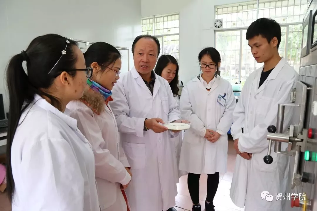 段振华教授指导学生实验