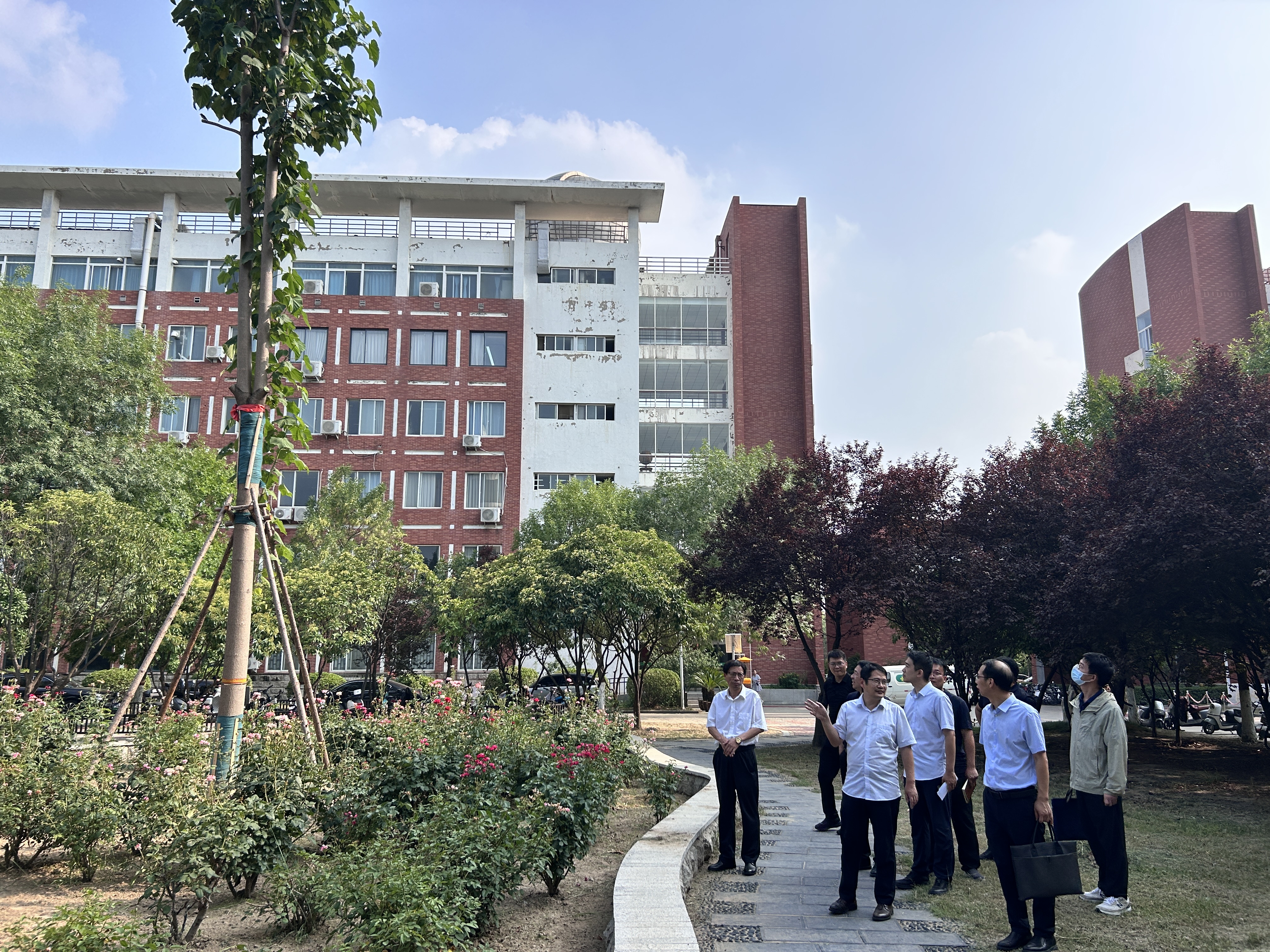 图5