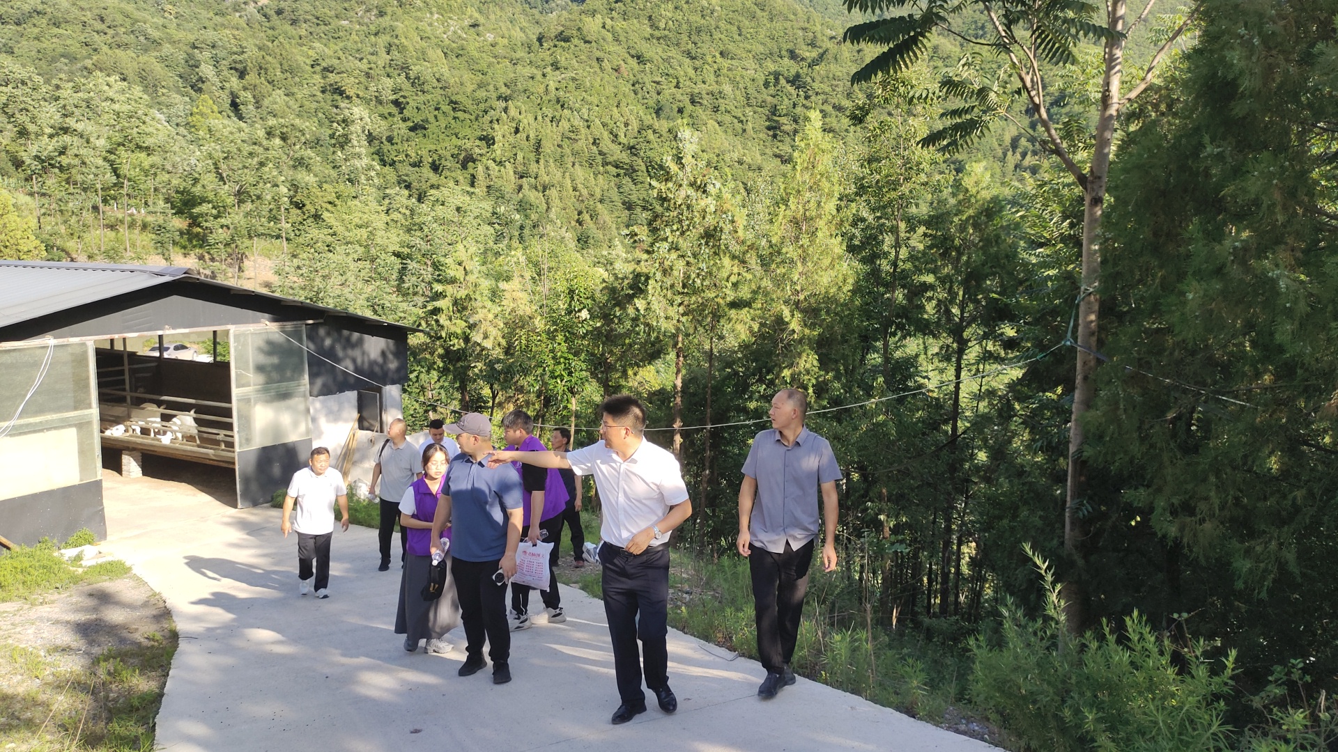 12.团队与小新川村马头羊养殖基地负责人交流