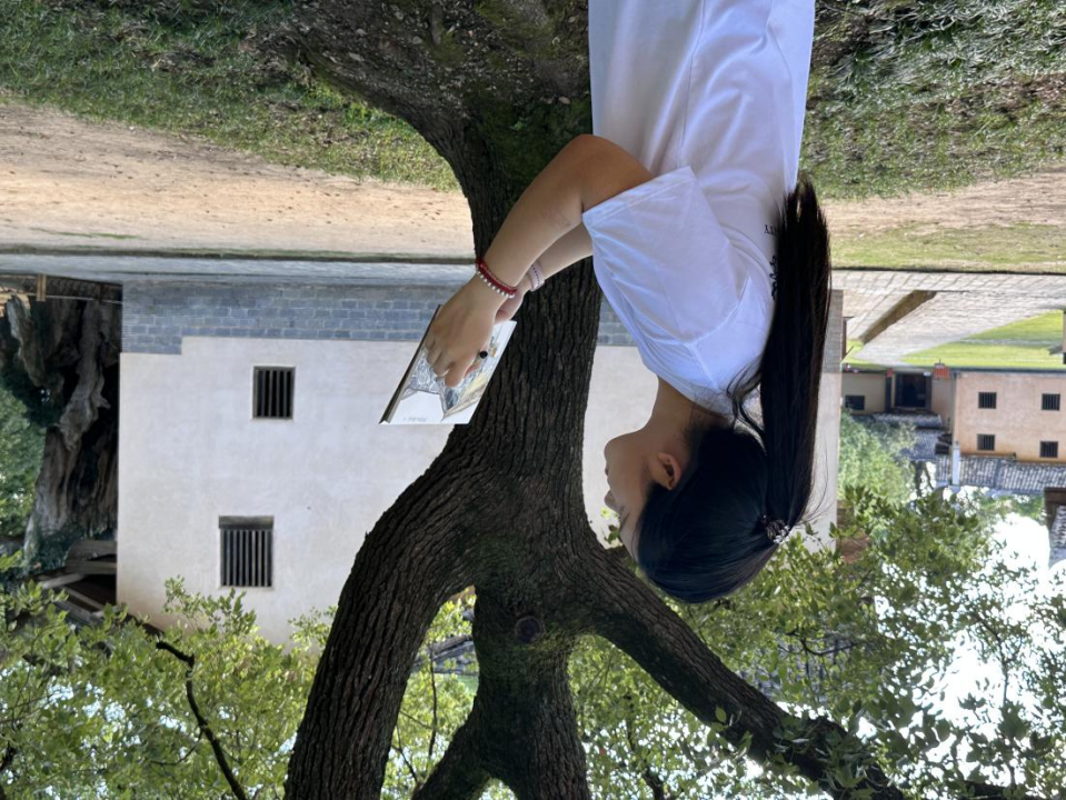 图片11