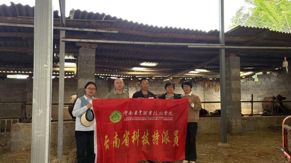图片 1