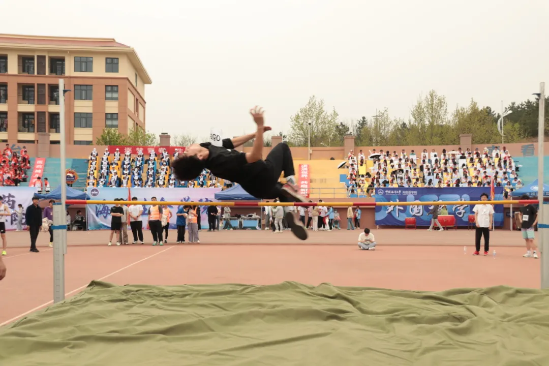图片14