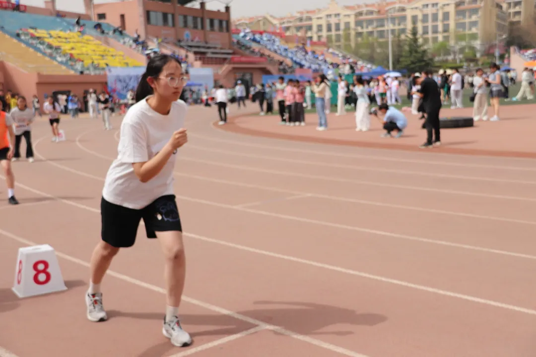 图片11