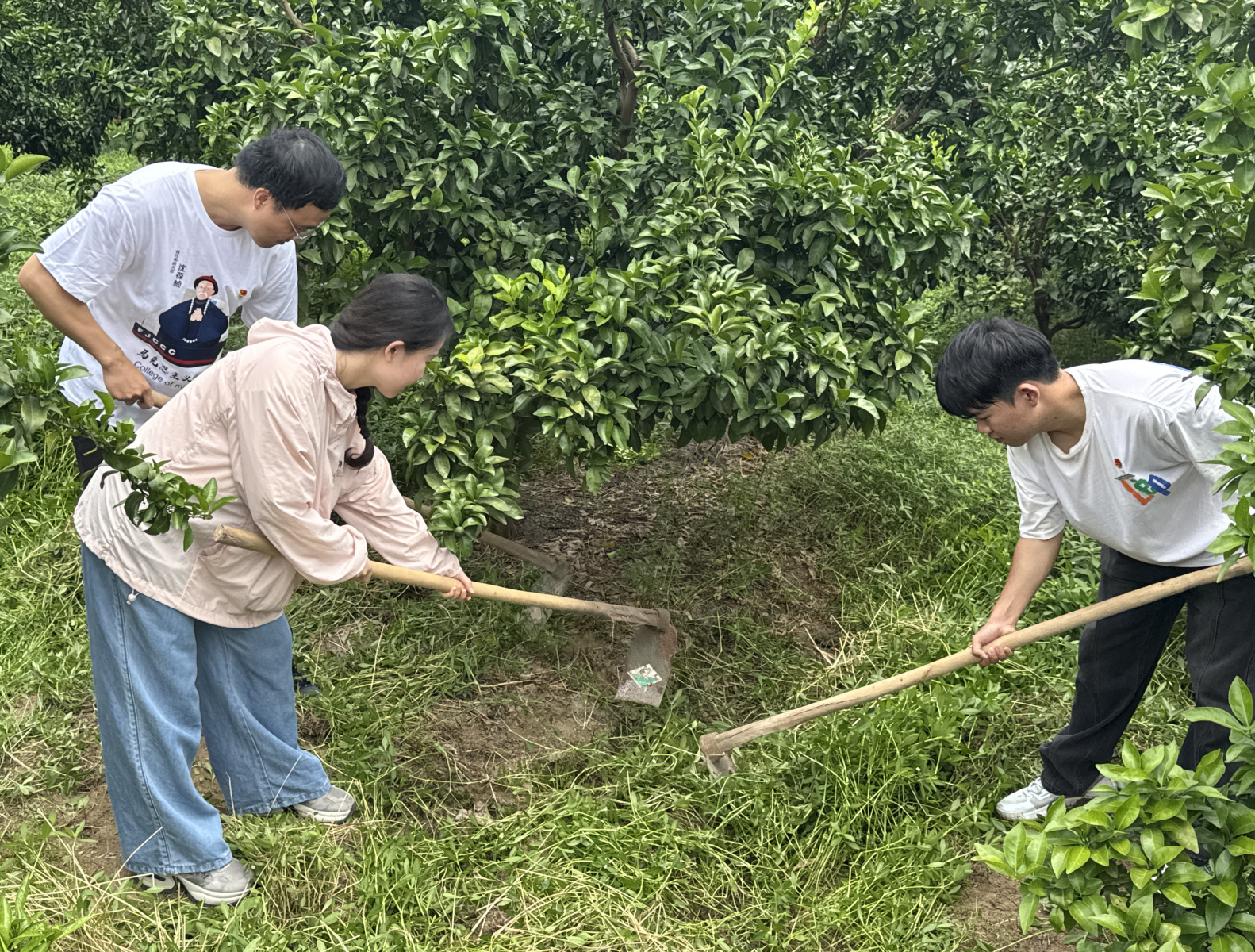 833970ce-5cd6-4582-bf4e-345df8ac6fda