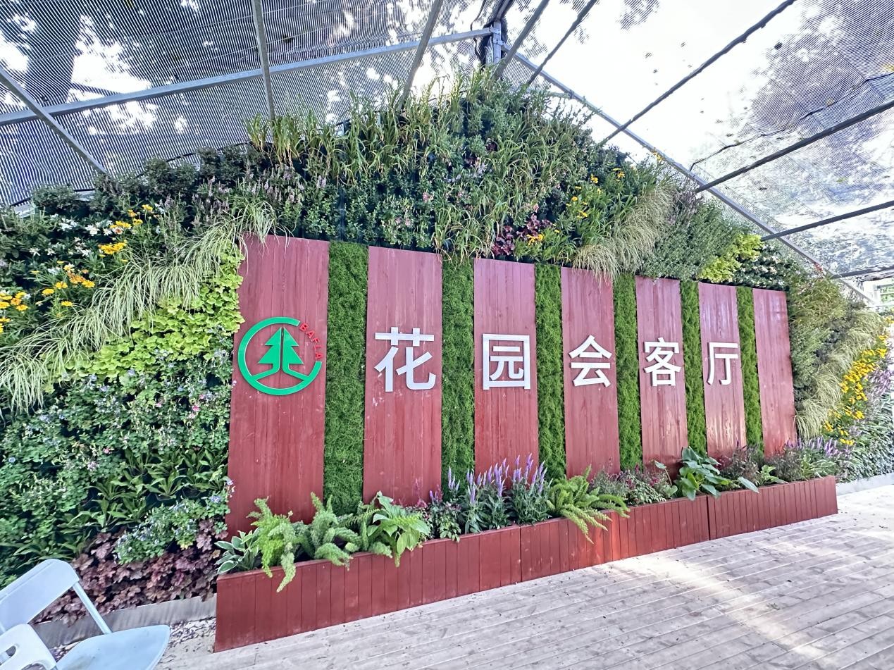 图片 5