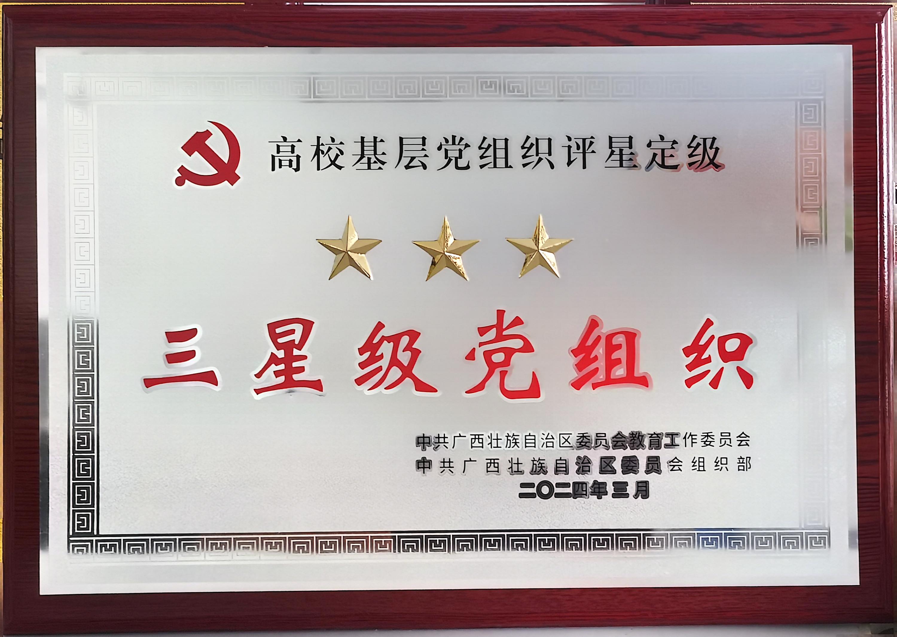 自治区三星级经党组织