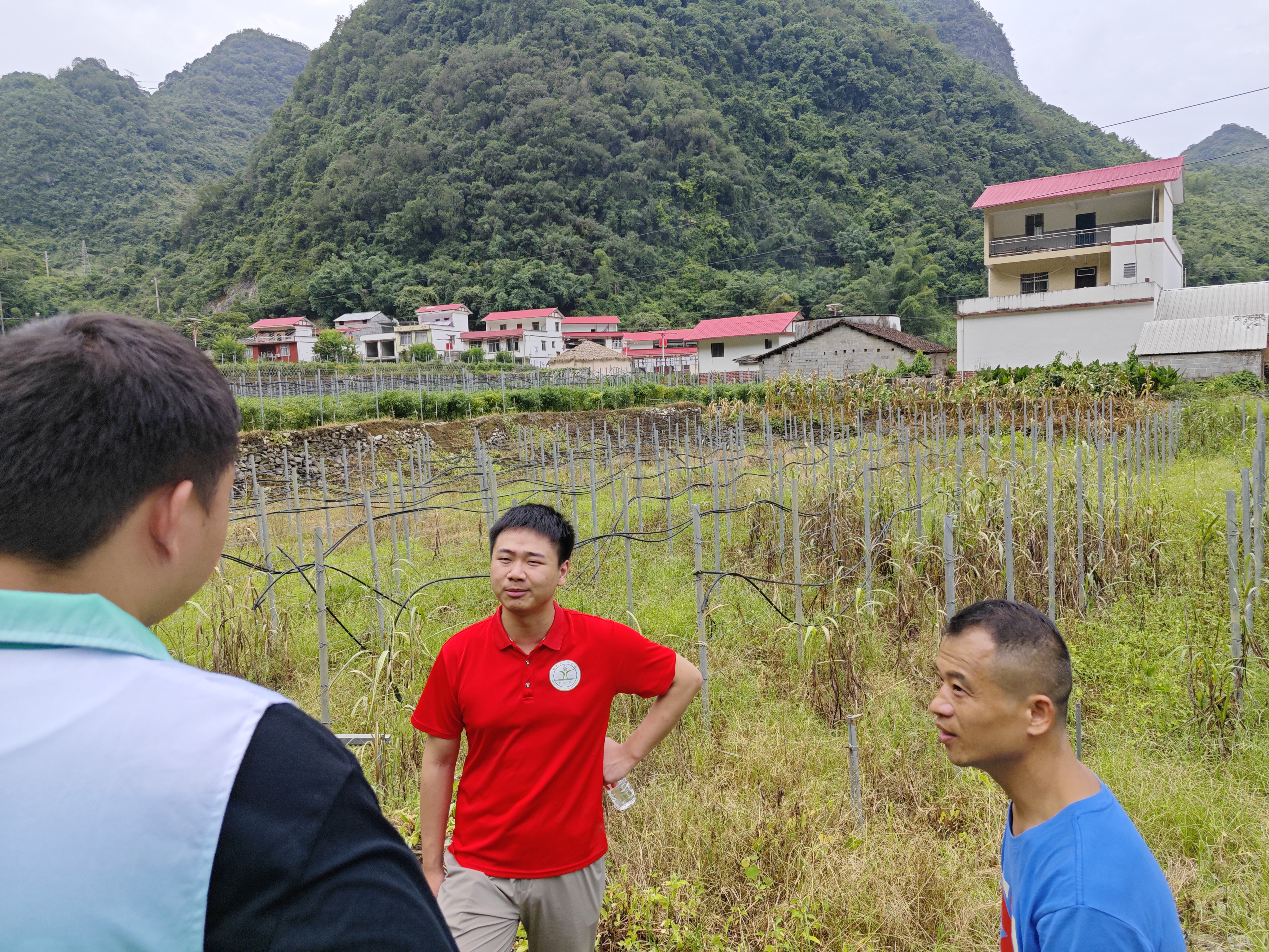 图一 实地考察科技小院耐旱牧草试验田 图一 实地考察科技小院耐旱牧草试验田