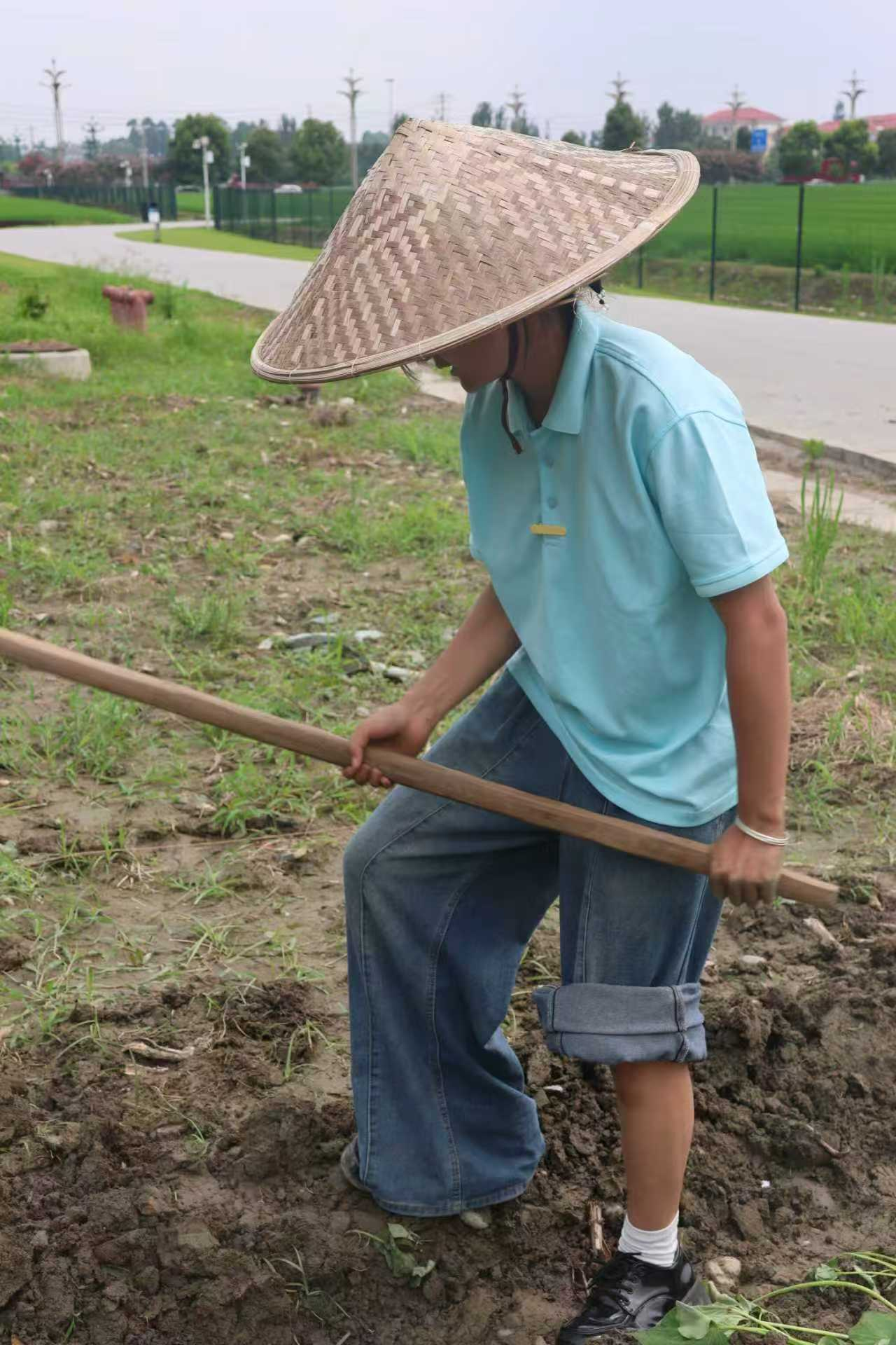 图片5