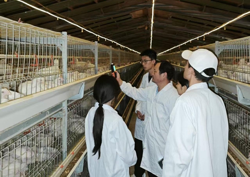 赵美法教授讲解示范氨气浓度检验操作