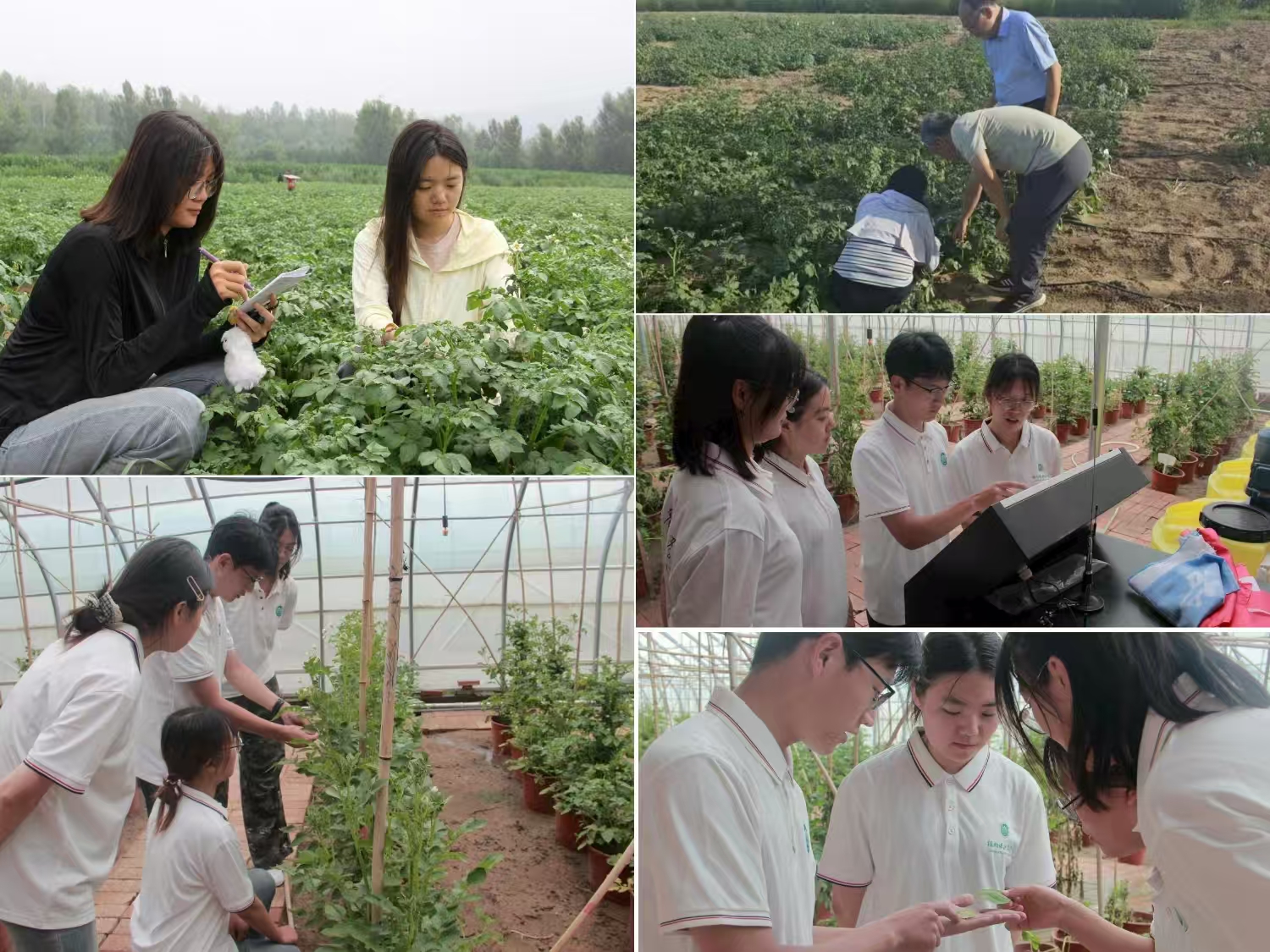 微信图片_20250720160655 微信图片_20250720160655