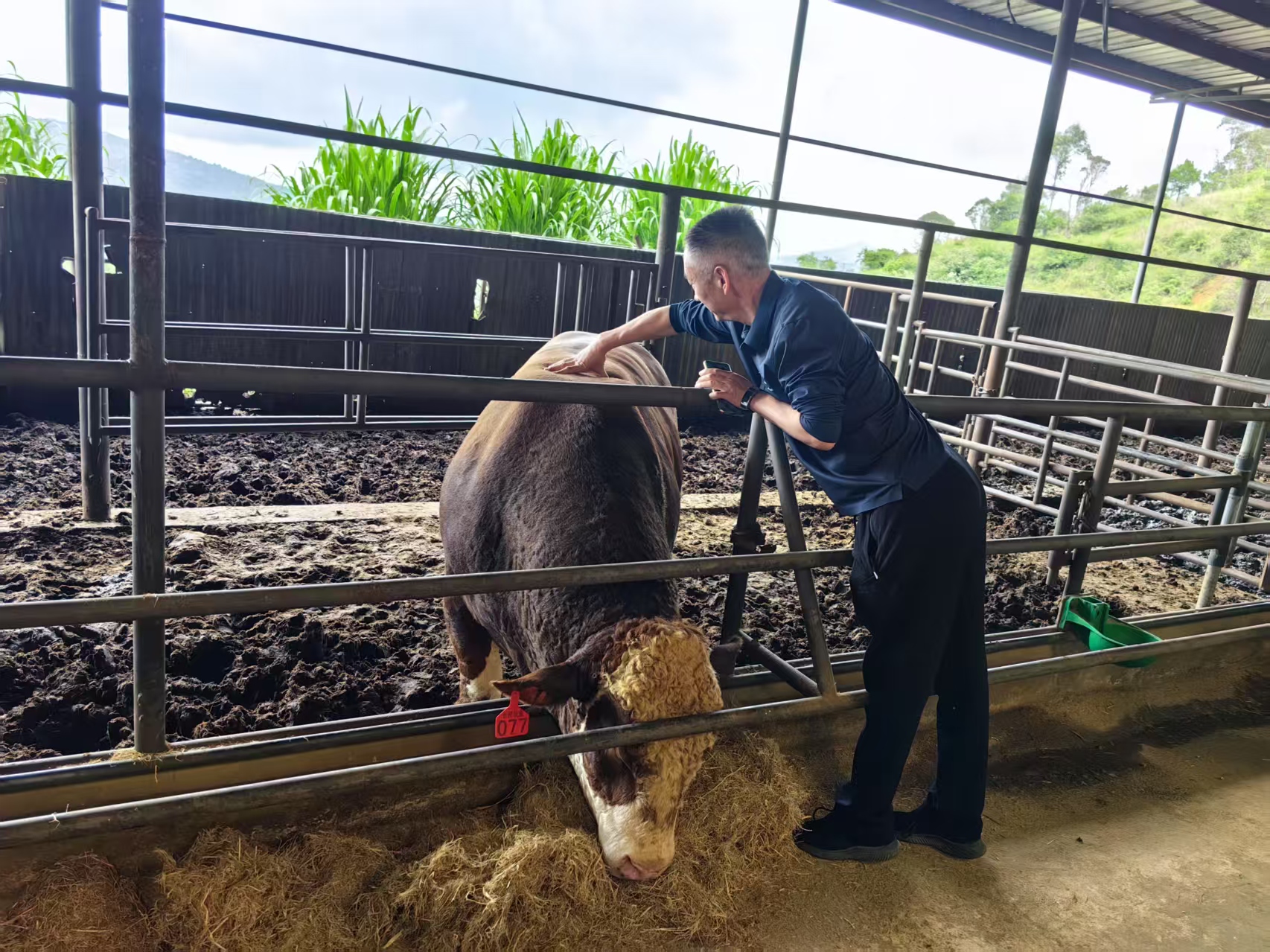 调研现场(三) 调研现场(三)