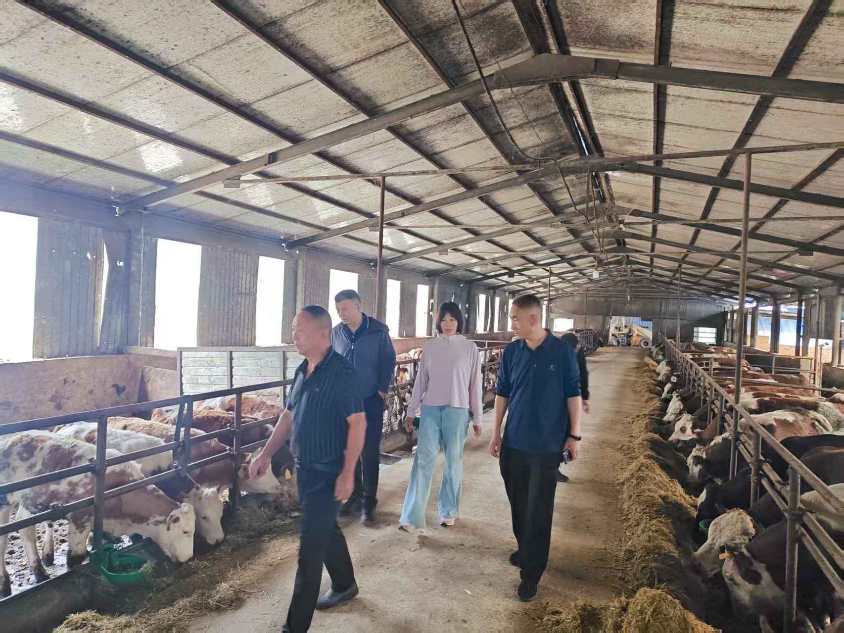 调研现场(一) 调研现场(一)