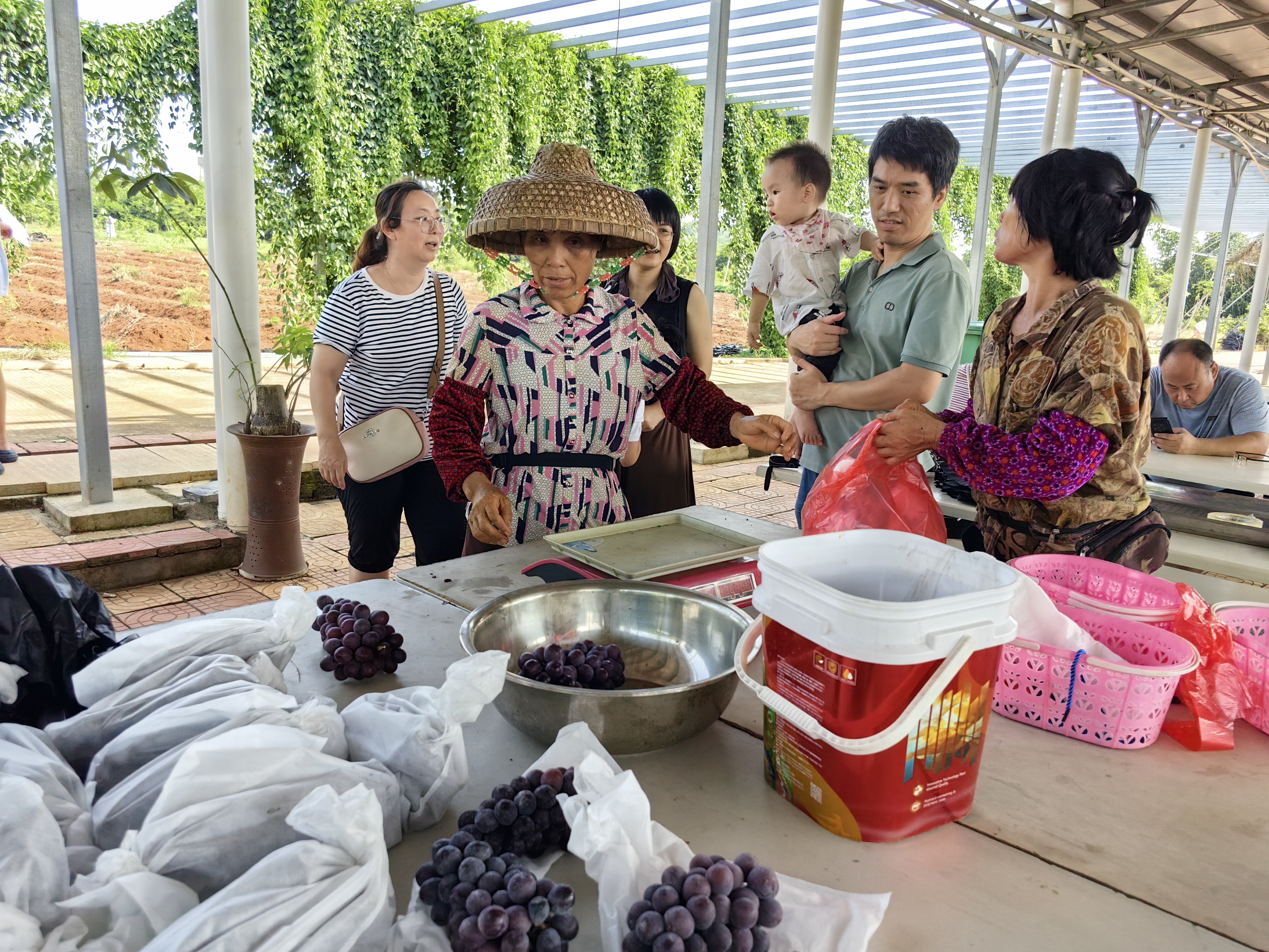 微信图片_2025-07-07_161925_938 微信图片_2025-07-07_161925_938