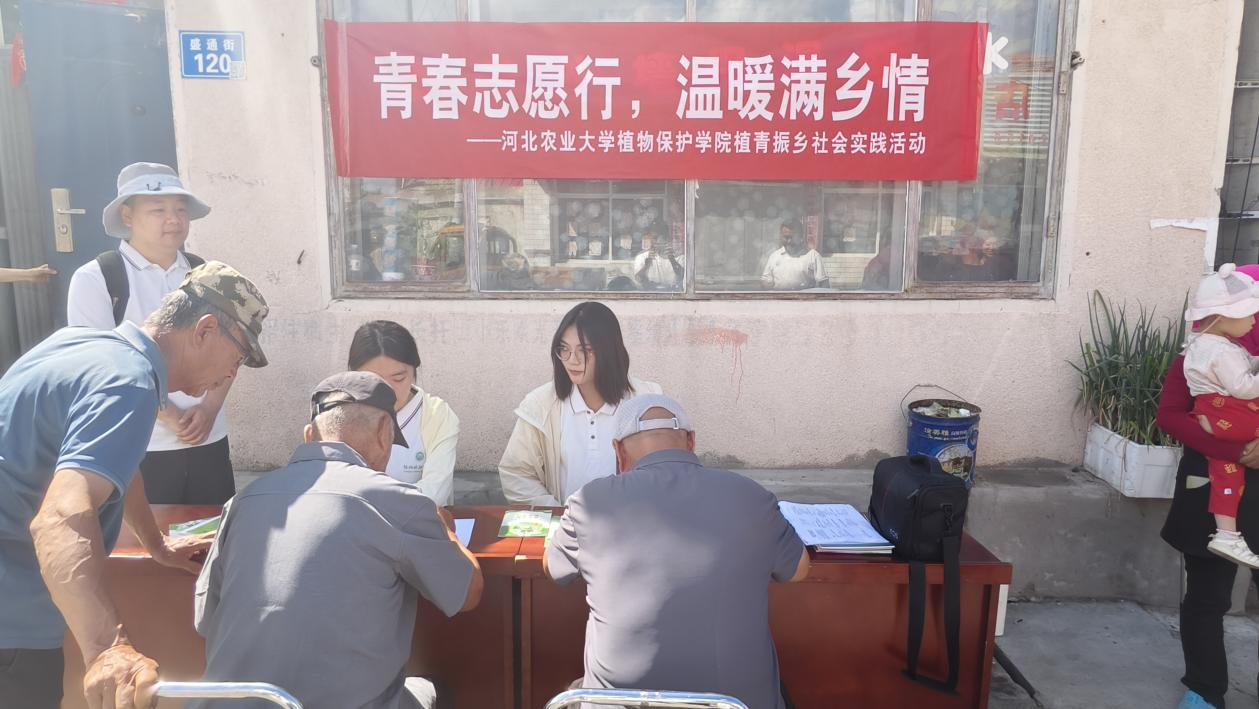 图片6