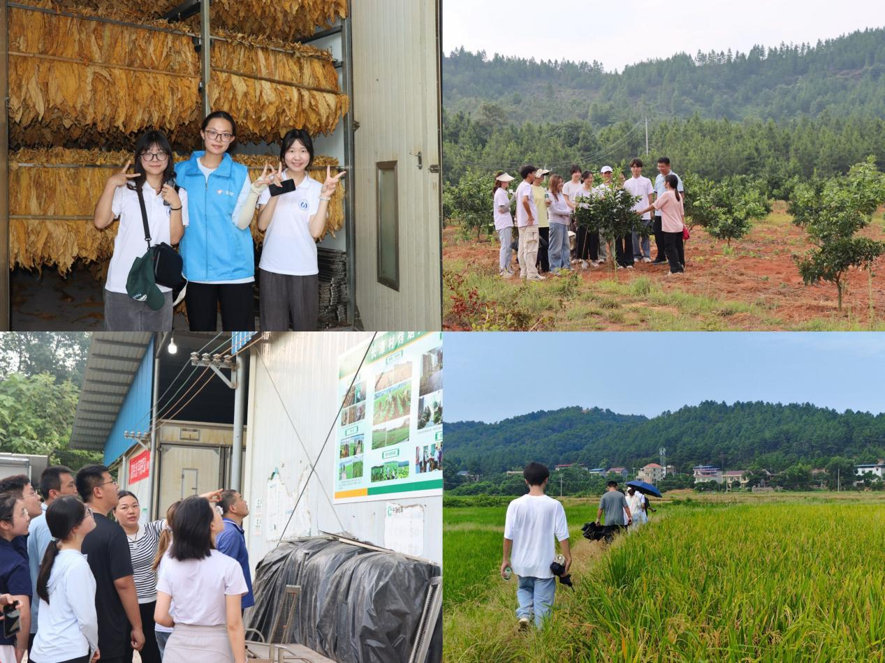 “核”耀乡村促振兴 青春力量践初心——南华学子走进安仁县长潭村等地开展暑期“三下乡”社会实践活动