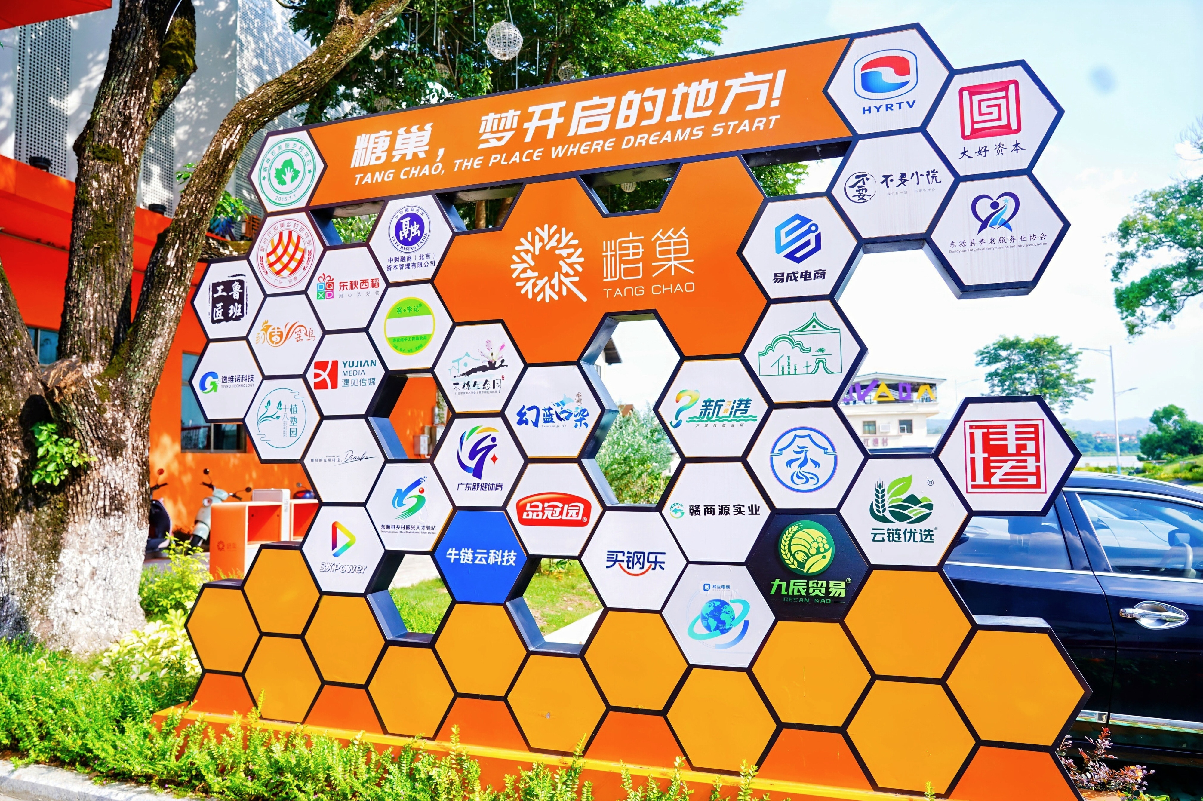 东源县“糖巢”现场教学