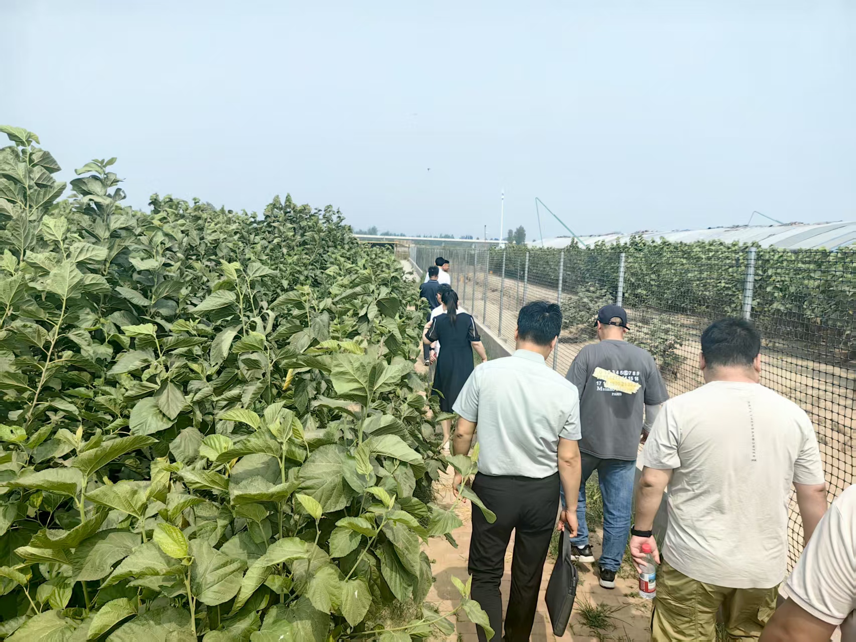 微信图片_20250722081717