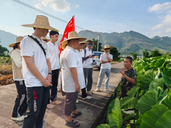 2.实践团调研罗老二御芋缘家庭农场