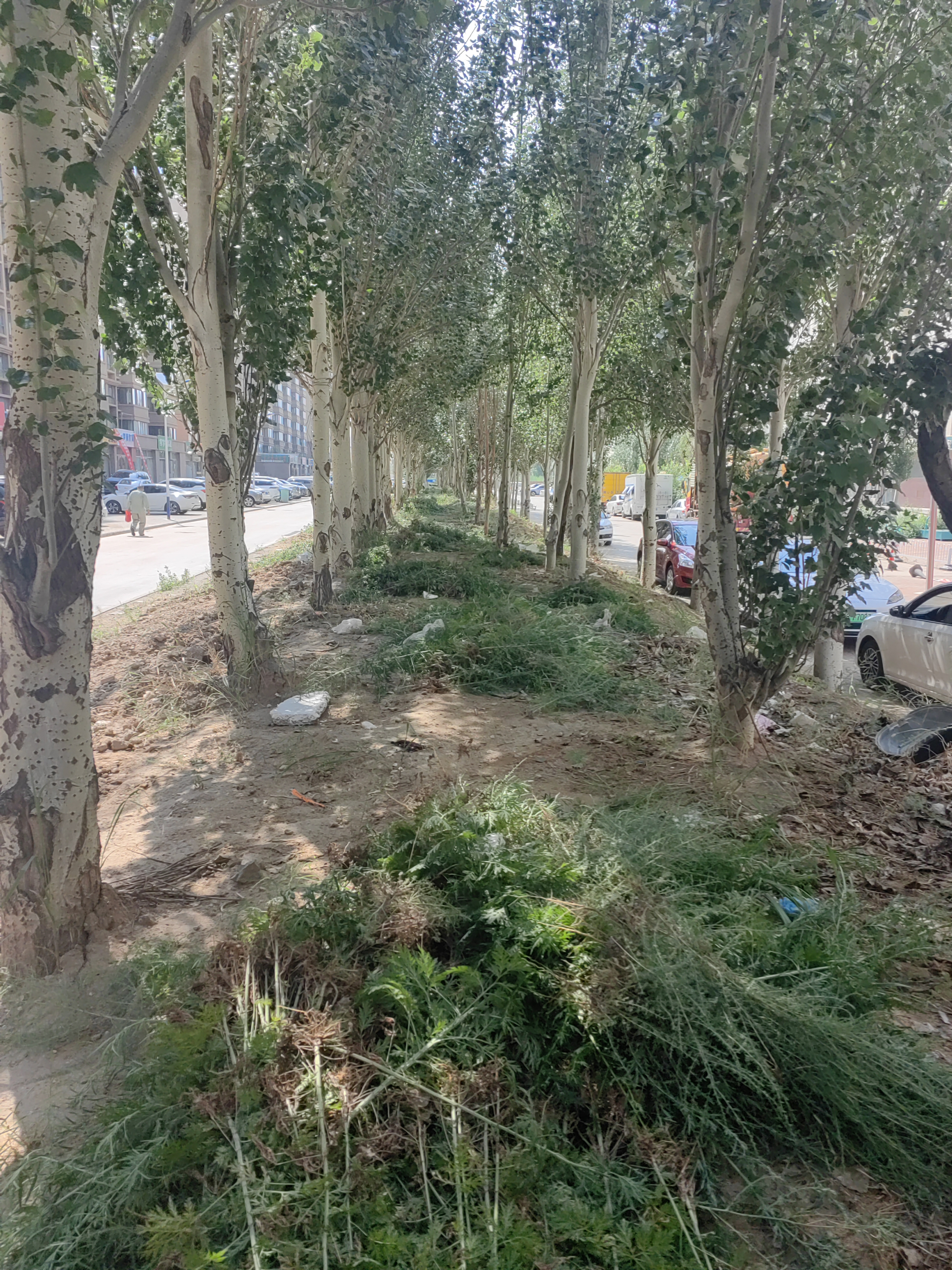 2307eb58497dc73d654dc1c82218477