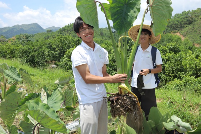 3.实践团成员在田间调研