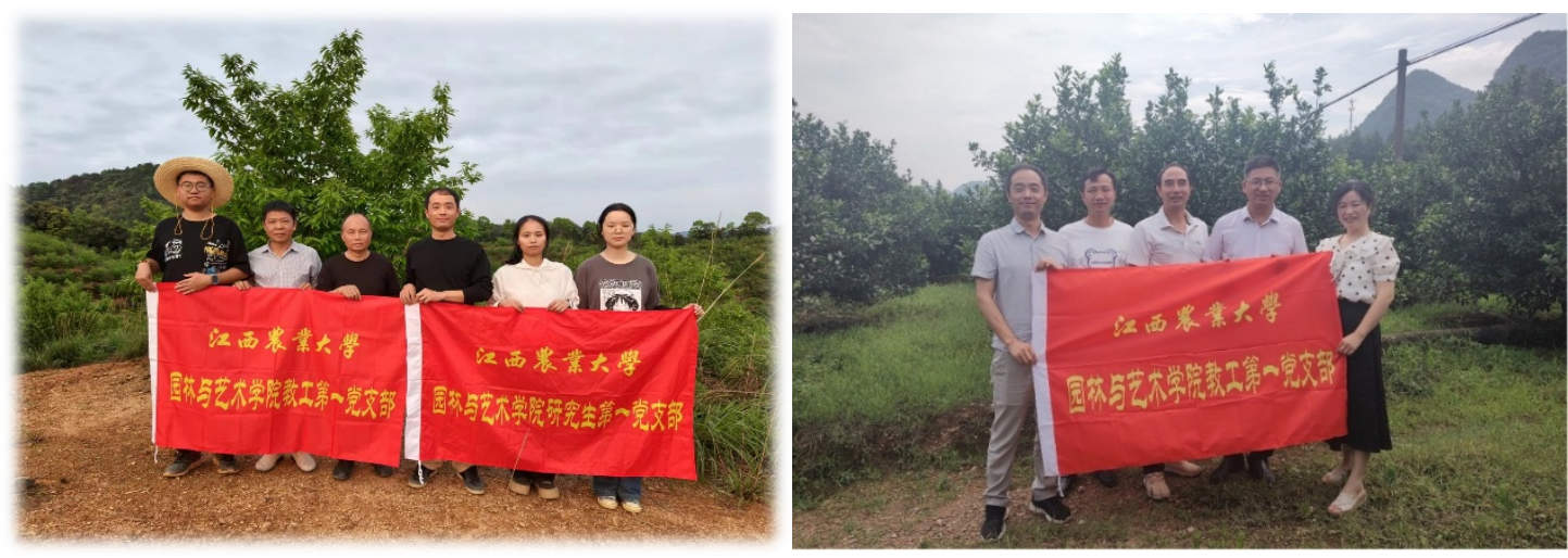 支部党员到田间地头开展科技帮扶