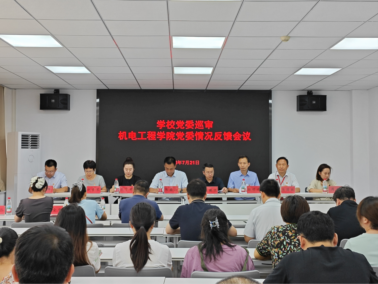 20250721巡察反馈会-1