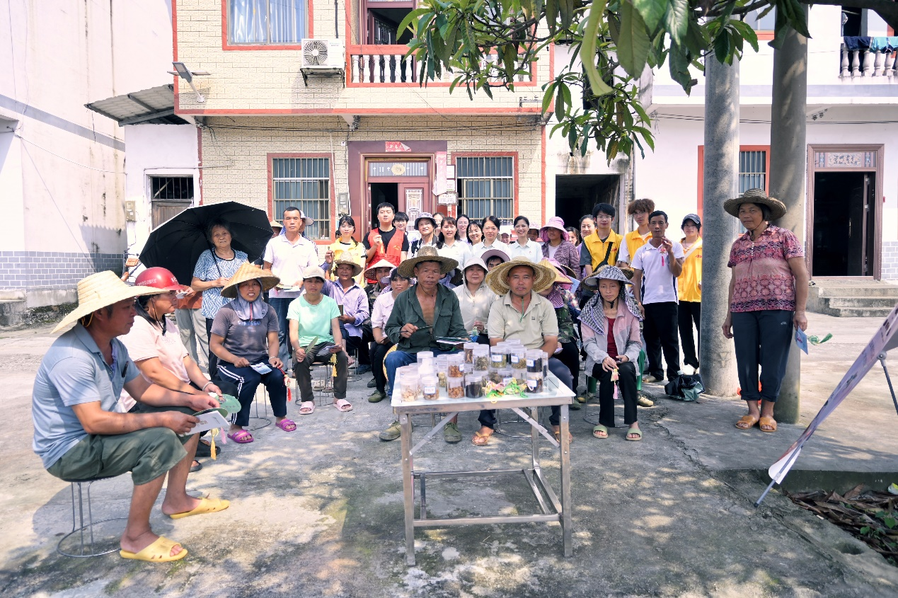 民族村党建联建3