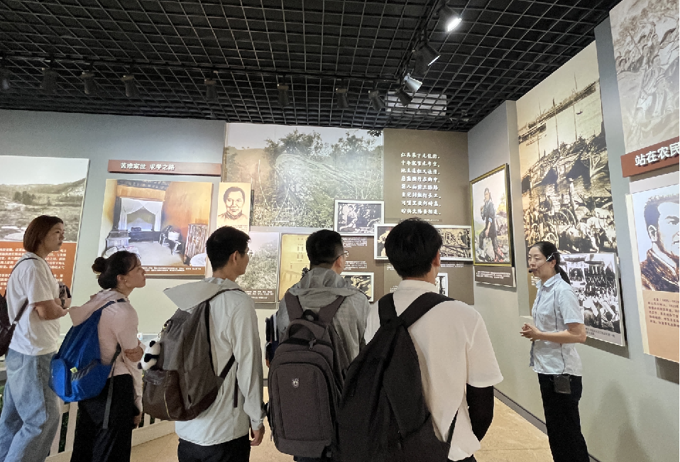 图片13 图片13
