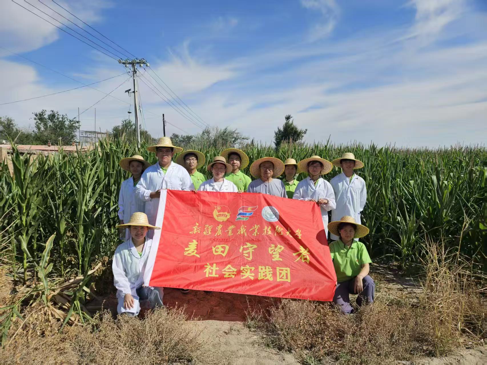 田间地头开展服务