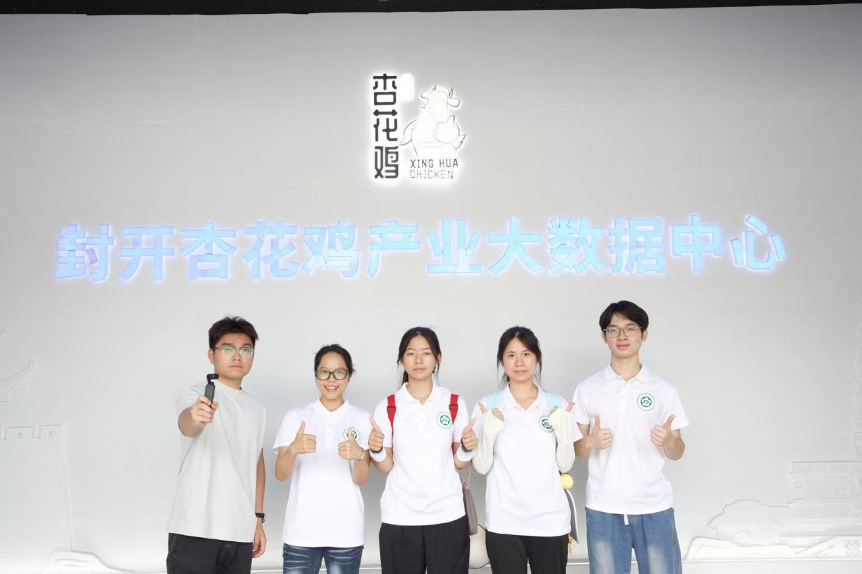 图片03