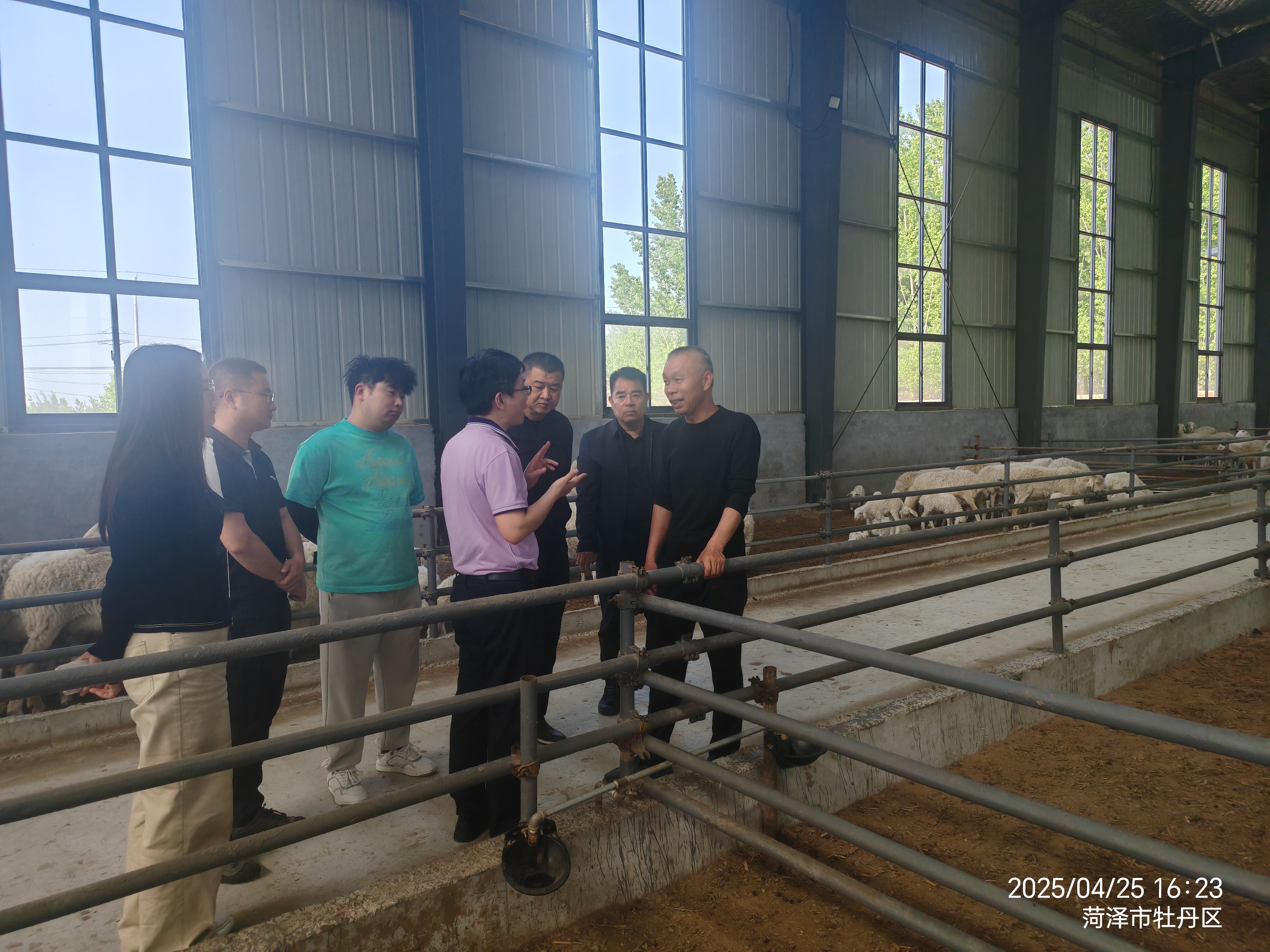 微信图片_20250426124402 微信图片_20250426124402